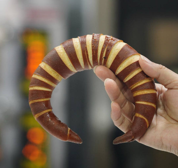 28Sep2025(Sun) Bear's Savoury European Bread by TW Chef Vincent Hsiung (熊俊傑師傅)