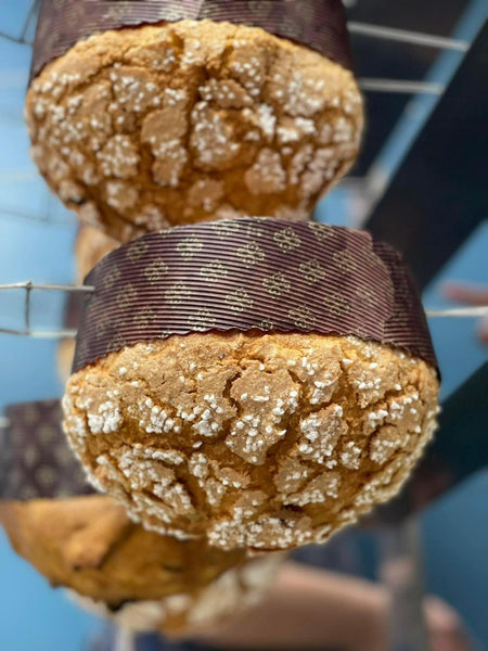 !!!STAY TUNED!!! May 2024 NEW - Liquid yeast Panettone Course by World Cup Grade Chef Giovanna Chen