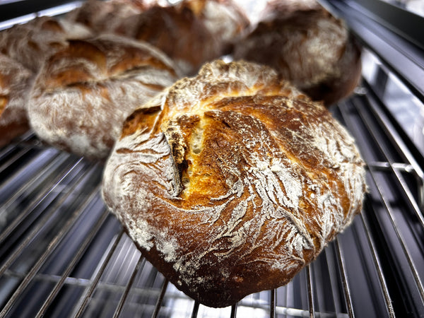 26-27 April 2025 - Two Days Course : Classic Continental Bread by Taiwanese Master Chef Katsumi Wu 《克己主廚的本格派歐陸麵包》