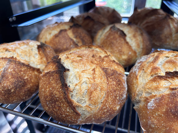 26-27 April 2025 - Two Days Course : Classic Continental Bread by Taiwanese Master Chef Katsumi Wu 《克己主廚的本格派歐陸麵包》