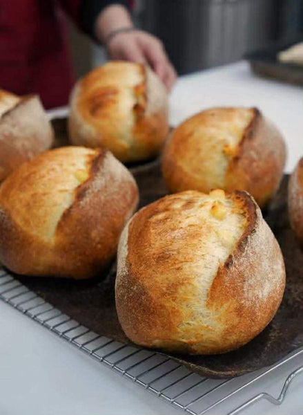 18July2026(Sat) Bear's Koji Starter Breads by TW Chef Vincent Hsiung (熊俊傑師傅)